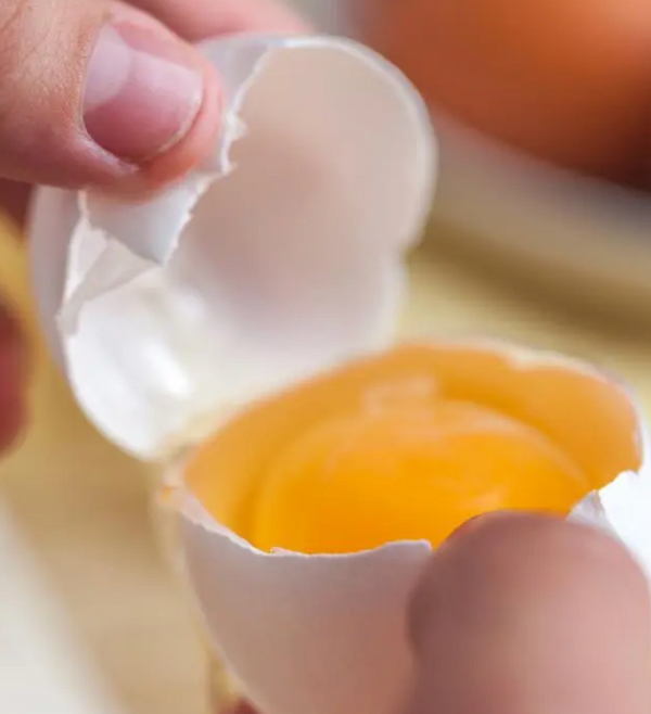 EGG YOLK EXTRACT